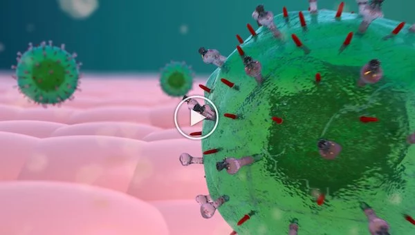 Virus Video